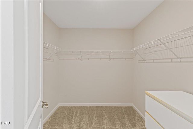 1408 Smoky Mountains Street, Durham, NC 27713