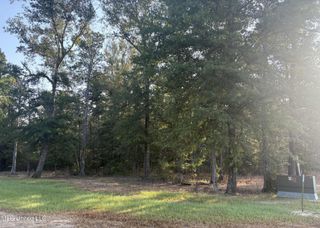 00 Shire Avenue, Forest, MS 39074