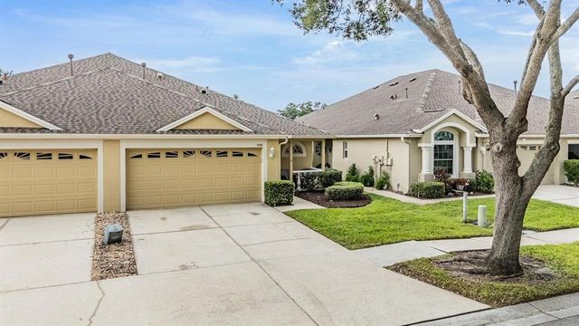 19351 HASKELL PLACE, Land O Lakes, FL 34638