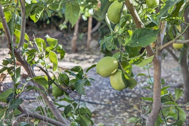 143 N Poli Street, Ojai, CA 93023