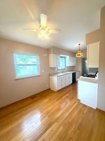 300 Aster Court, Aurora, IL 60504
