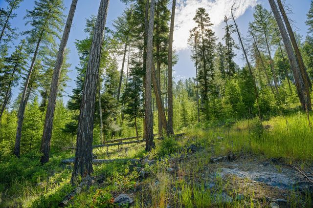 234 Trading Post Trail, Bigfork, MT 59911 property photo