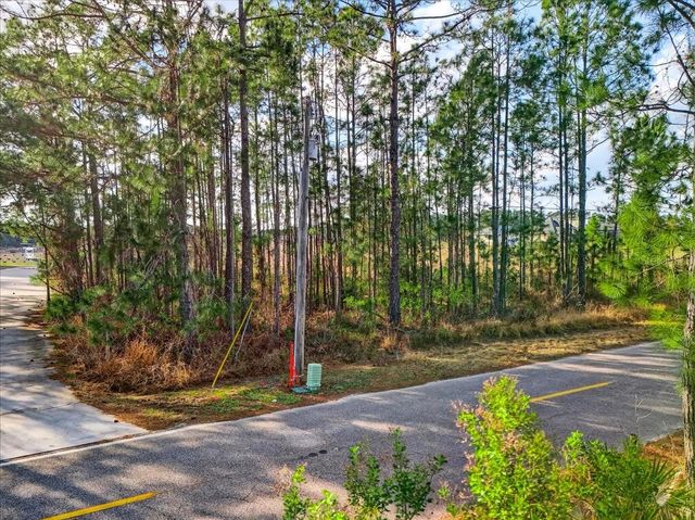 SWEET HILL ROAD, Polk City, FL 33868