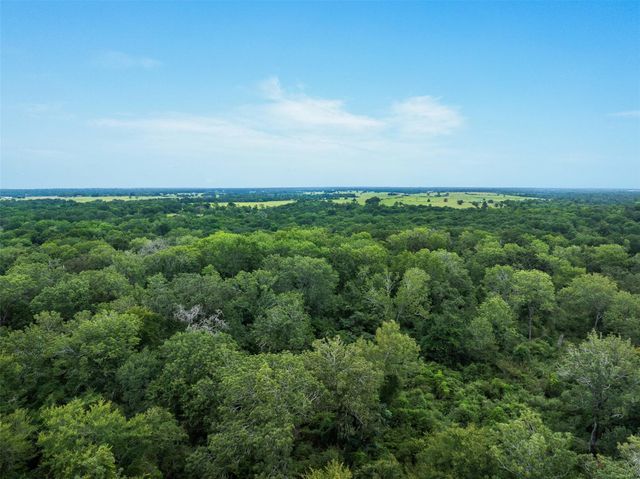 TBD West Caney Road, Normangee, TX 77871