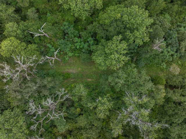 TBD West Caney Road, Normangee, TX 77871