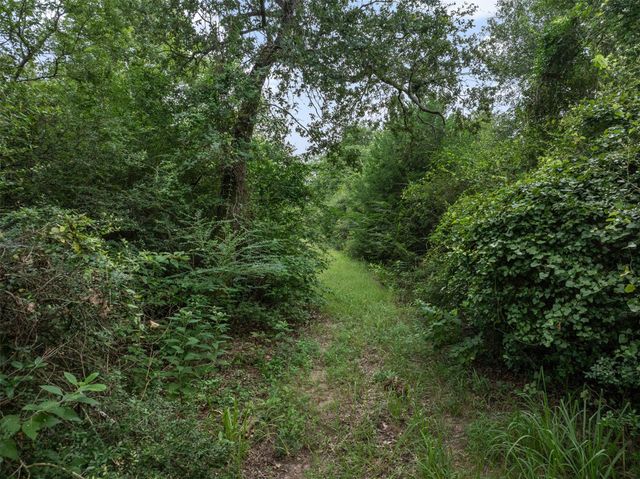 TBD West Caney Road, Normangee, TX 77871