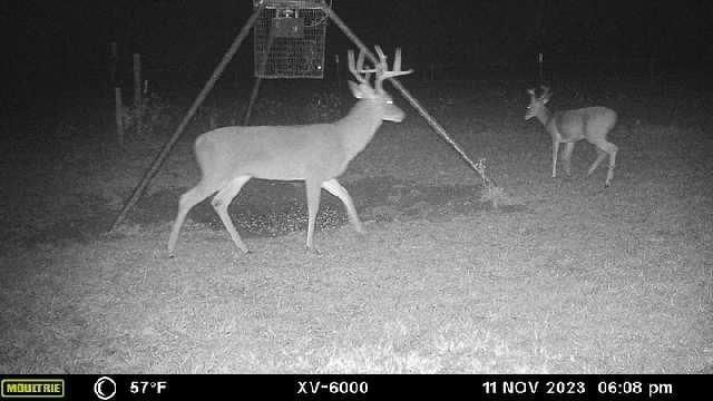 TBD West Caney Road, Normangee, TX 77871