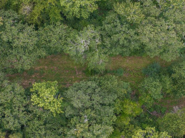 TBD West Caney Road, Normangee, TX 77871