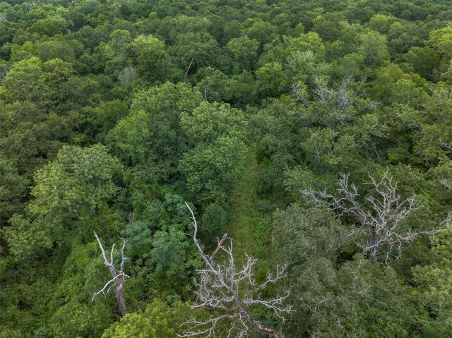 TBD West Caney Road, Normangee, TX 77871