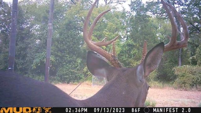 TBD West Caney Road, Normangee, TX 77871