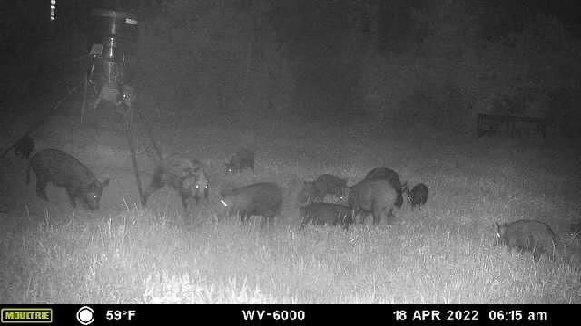 TBD West Caney Road, Normangee, TX 77871