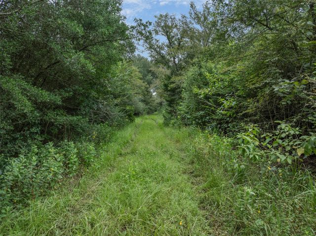 TBD West Caney Road, Normangee, TX 77871
