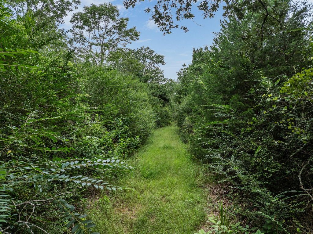 TBD West Caney Road, Normangee, TX 77871