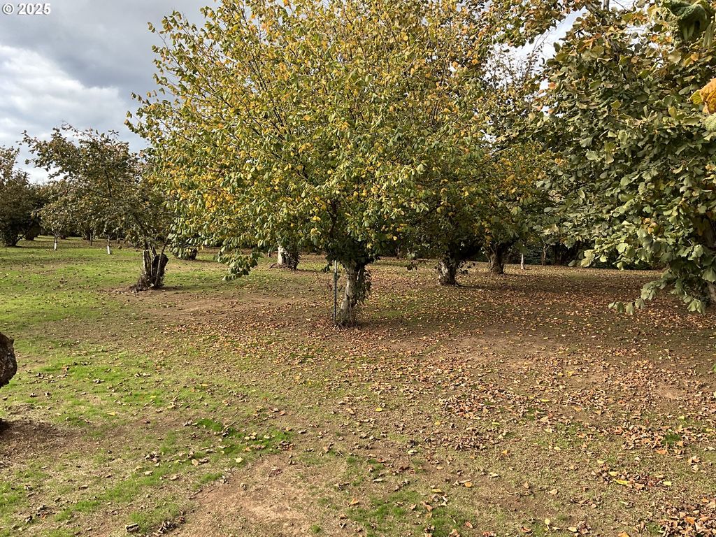 46345 Nw STROHMAYER Rd, Forest Grove, OR 97116