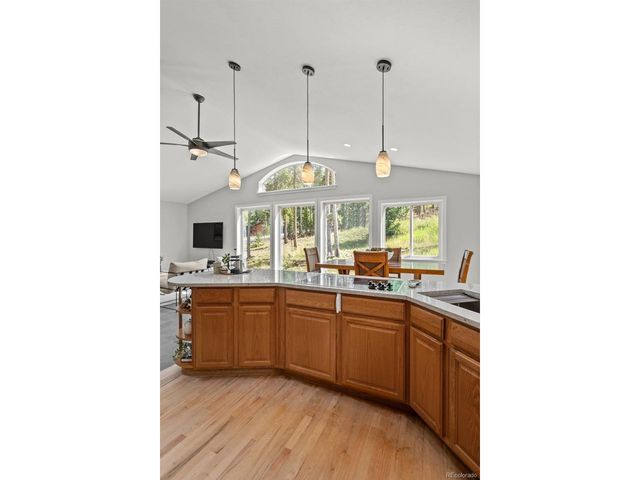 9039 Black Mountain Dr, Conifer, CO 80433