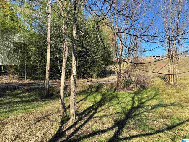 1866 GRANTS MILL ROAD, Irondale, AL 35210