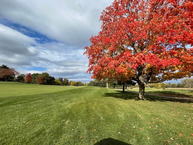 23984 N Red Oak Court, Kildeer, IL 60047