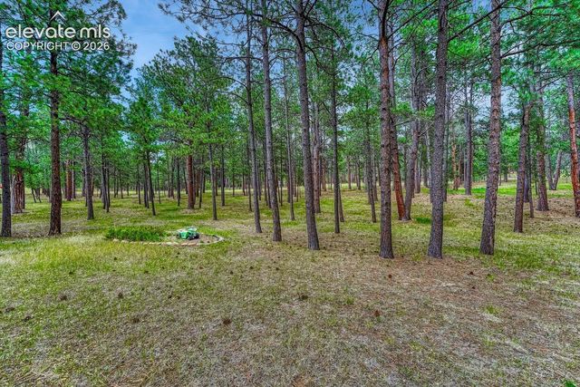 14225 Ponderosa Road, Colorado Springs, CO 80908