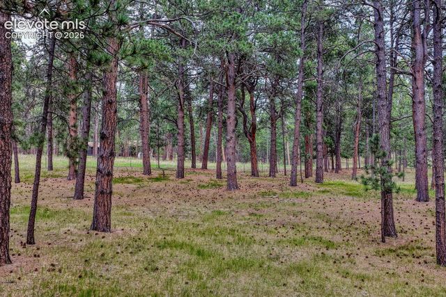 14225 Ponderosa Road, Colorado Springs, CO 80908
