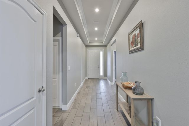 11718 LAKE LUCAYA DRIVE, Riverview, FL 33579