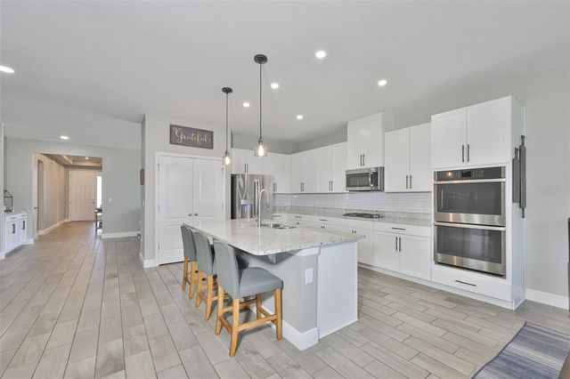 11718 LAKE LUCAYA DRIVE, Riverview, FL 33579