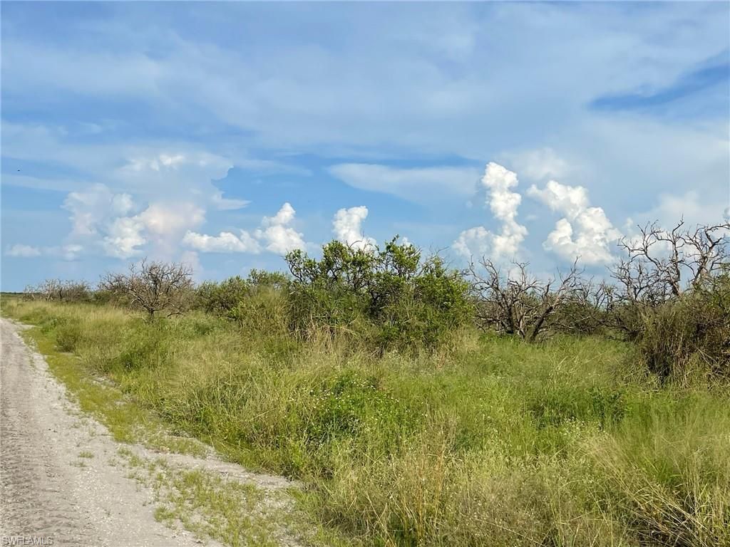 6985 6th RD, LABELLE, FL 33935 — photo 3