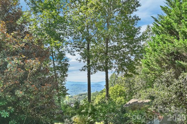 4311 Cove Loop Road, Hendersonville, NC 28739