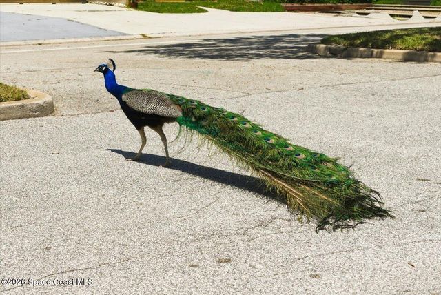 286 Canaveral Beach Boulevard, Cape Canaveral, FL 32920