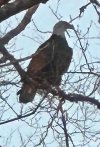 252 North Corner Estates Road, Lancaster, SC 29720