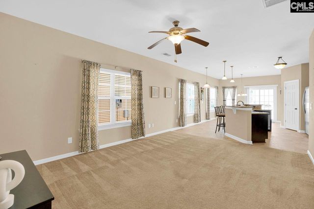 110 Saluda Springs Court, Lexington, SC 29072