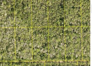 PID 710801150230 NO STREET, Deland, FL 32724