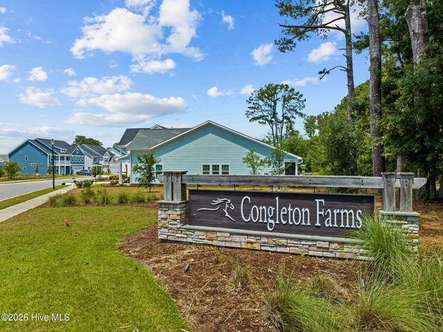 6036 Meadowgrove Loop, Wilmington, NC 28409
