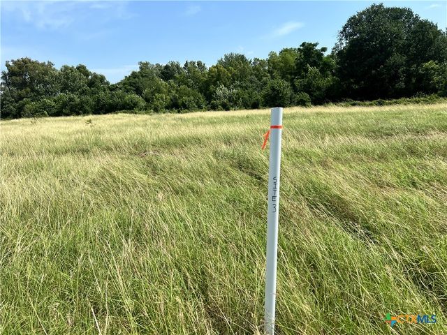 000 Pecan Road (Tract 2 and 3), Troy, TX 76579