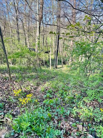 4209 E County Road 50 S, Fillmore, IN 46128