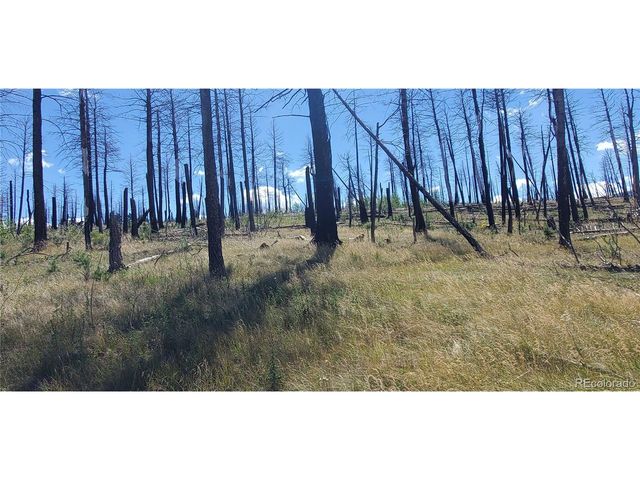 1064 Reed Ln, Fort Garland, CO 81133