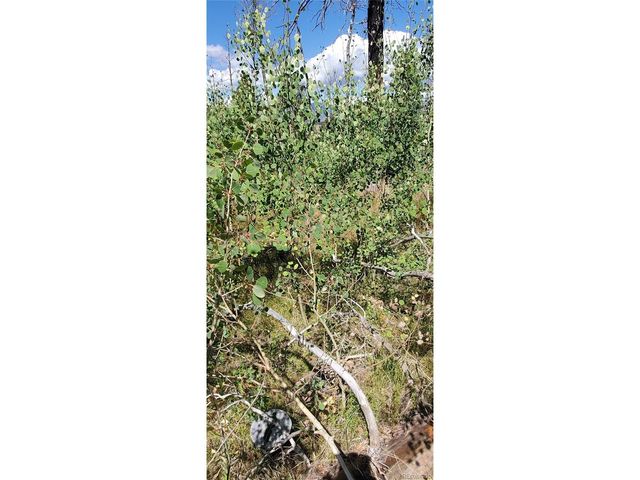 1064 Reed Ln, Fort Garland, CO 81133