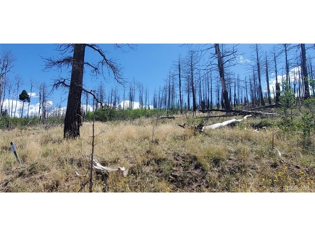 1064 Reed Ln, Fort Garland, CO 81133