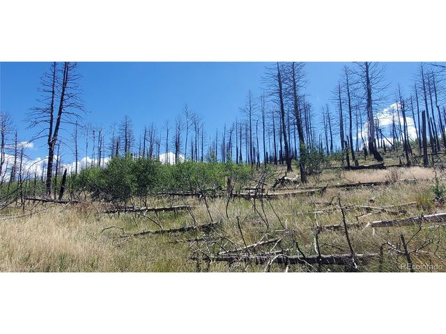 1064 Reed Ln, Fort Garland, CO 81133