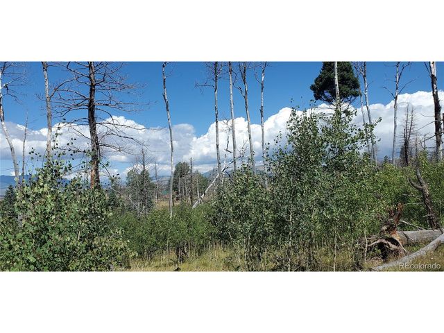 1064 Reed Ln, Fort Garland, CO 81133