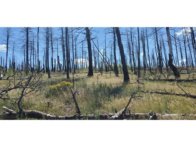 1064 Reed Ln, Fort Garland, CO 81133