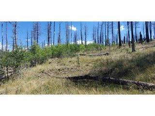 1064 Reed Ln, Fort Garland, CO 81133