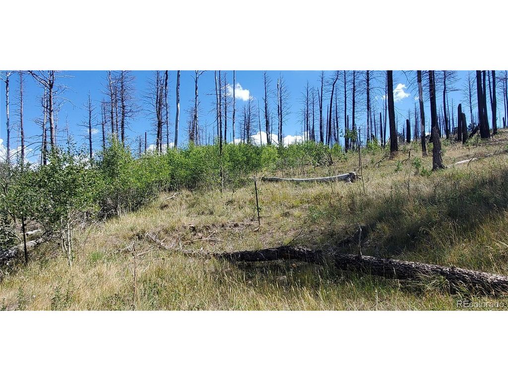 1064 Reed Ln, Fort Garland, CO 81133