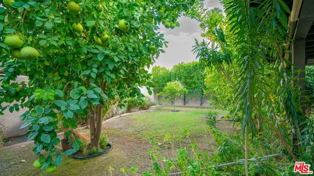 1592 S Compadre Road, Palm Springs, CA 92264