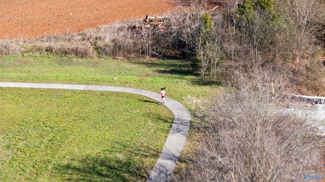 135 Hillis Lane, Hazel Green, AL 35750