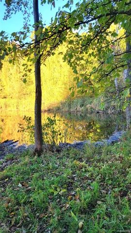 0 Rochester Road, Dryden, MI 48428