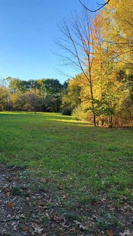 0 Rochester Road, Dryden, MI 48428