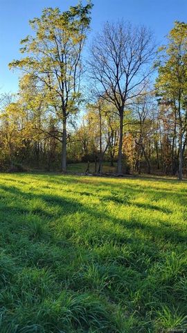 0 Rochester Road, Dryden, MI 48428