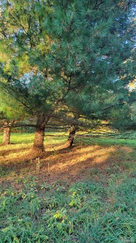 0 Rochester Road, Dryden, MI 48428