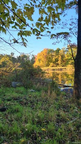0 Rochester Road, Dryden, MI 48428