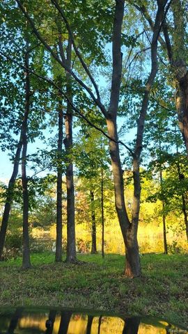 0 Rochester Road, Dryden, MI 48428